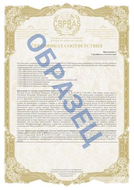 Образец Приложение к СТО 01.064.00220722.2-2020 Красный Сулин Сертификат СТО 01.064.00220722.2-2020 